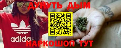 сатива Бузулук