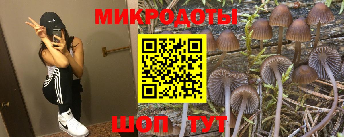 Галлюциногенные грибы ЛСД Тельмана